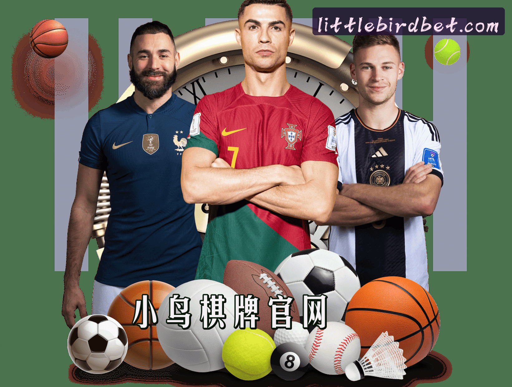 关于我们关于我们